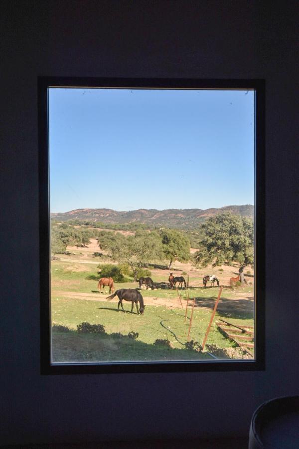 Finca Santa Maria De Las Canadas El Garrobo ภายนอก รูปภาพ